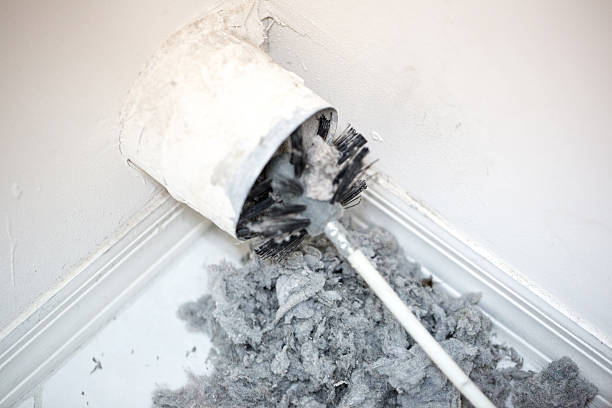 Best Duct Cleaning Specialists  in Marlette, MI